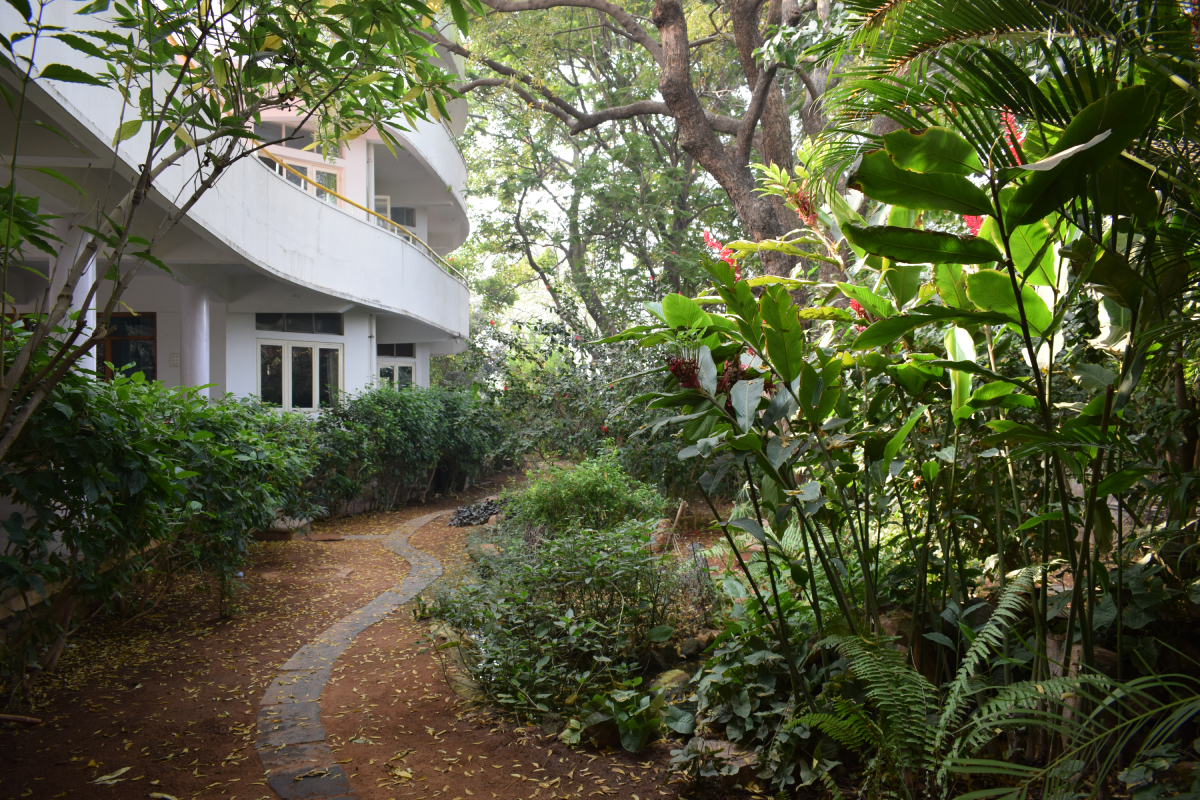 View of the main school building to the left, surrounded by lush green plants and trees of the Butterfly Garden.