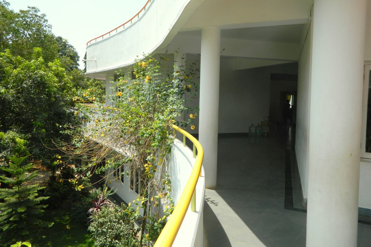 View of the main school building and corridors, with trees and flowering plants hemming it.