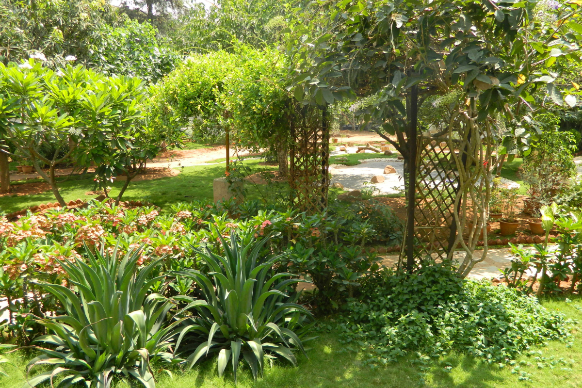 View of a sunlit, lush garden full of plants and trees in the campus of Sloka - The Hyderabad Waldorf School.