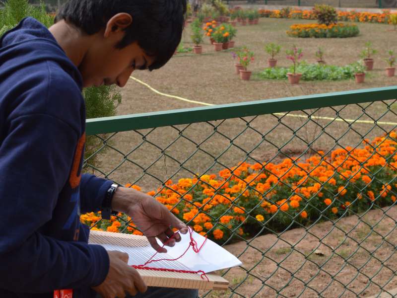 A boy weaves an easel outdoors; a garden lined with marigolds in the background.
